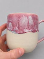 Hold on I have to do everything mug