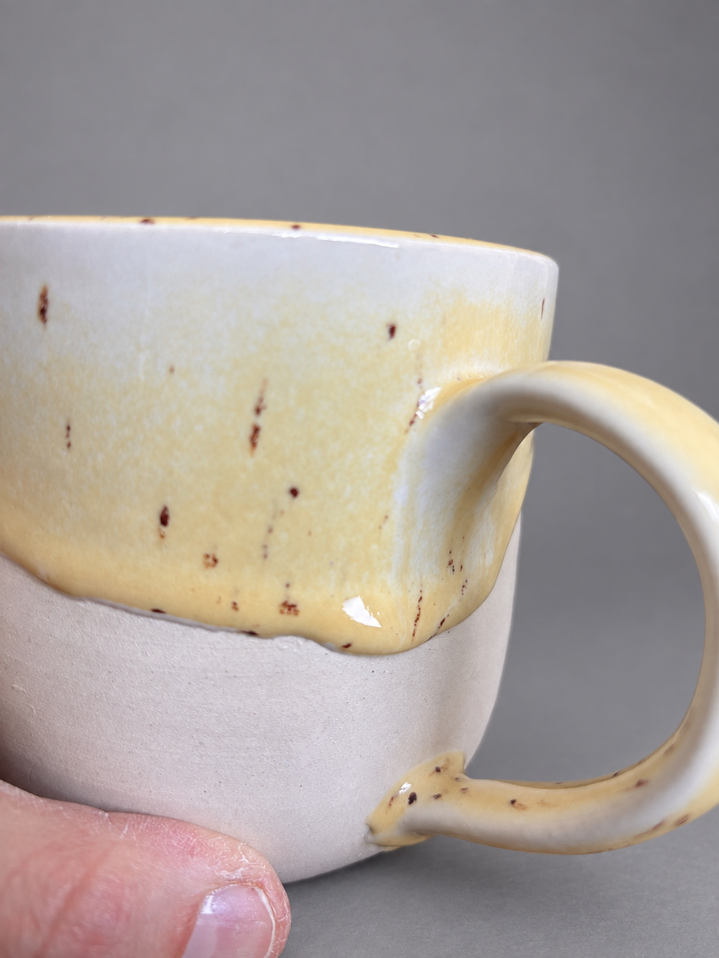 I do not want a career I want to lie in the sun mug