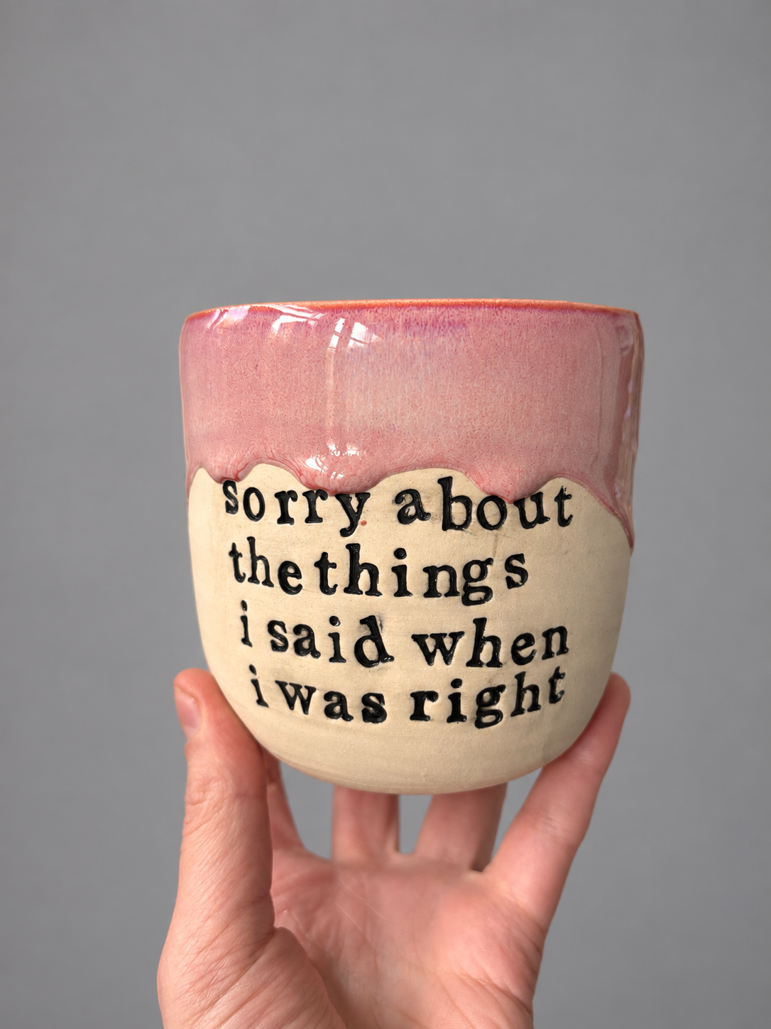 Sorry about the things I said when I was right mug